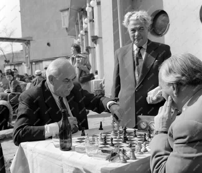 Életkép - Sakkozó férfiak a Duna-kertben