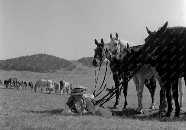 Filmművészet - Filmfelvétel a Magyar Állami Népi Együttes műsorszámairól