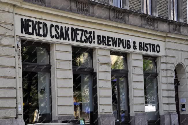 Vendéglátás  - Budapest - Neked csak Dezső
