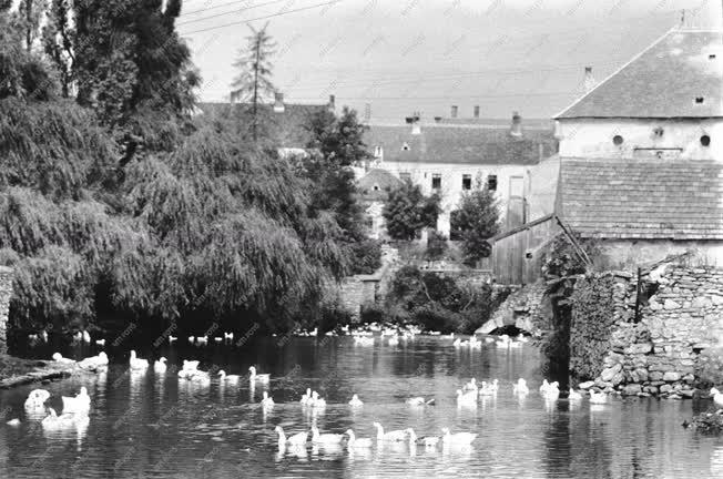 Városok - Tapolca