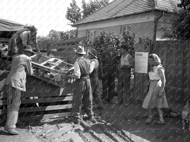 Árvíz 1954 - Visszaköltözés a Szigetközbe