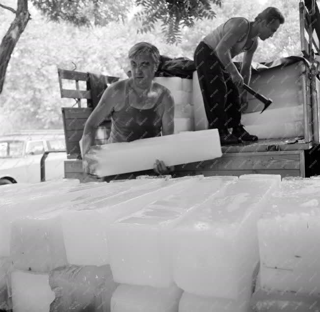 Életkép - Megérkezett a jég a Lehel piacra