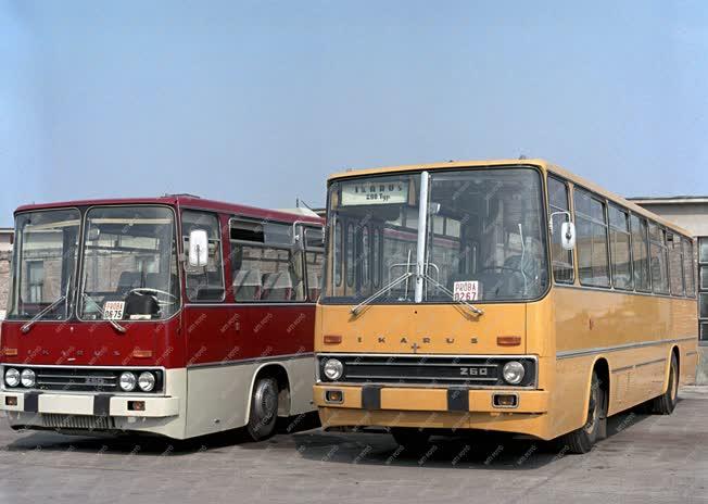 Tömegközlekedés - Járműipar - Új Ikarus buszok