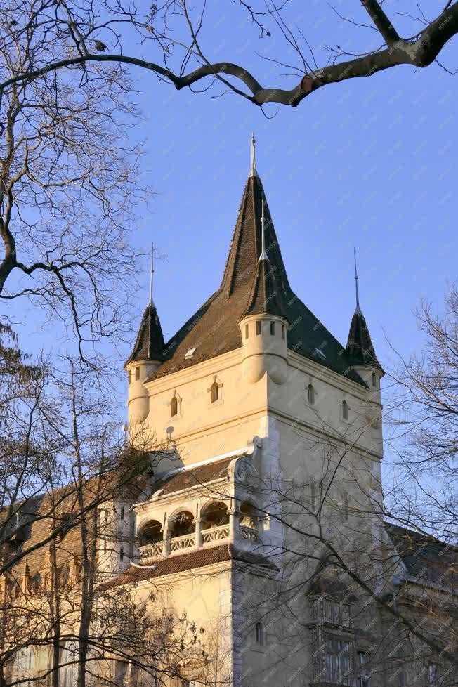Városkép - Budapest -Vajdahunyad-vár épületei