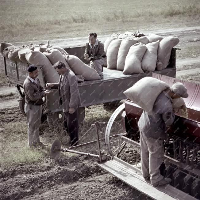 Mezőgazdaság - Őszi mezőgazdasági munkák Nagydorogon