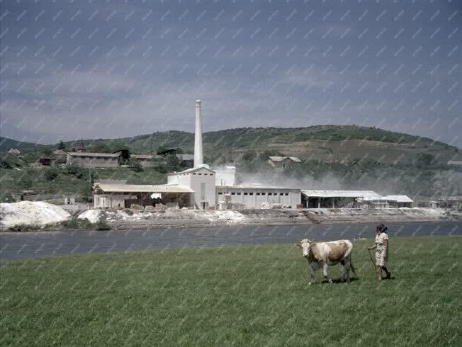 Ipar - Kaolin őrlőüzem Szegin a Bodrog folyó partján