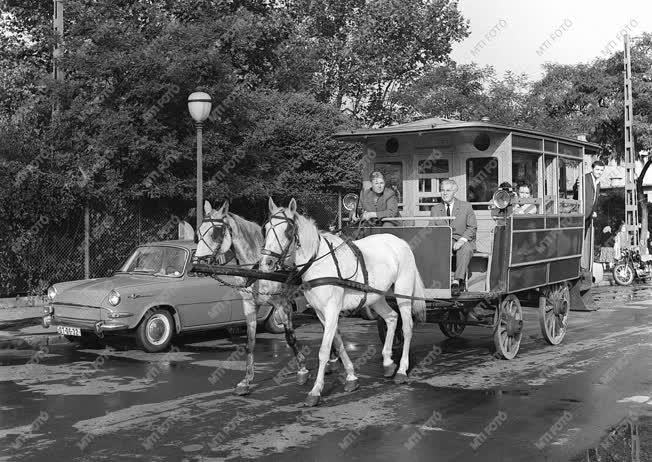 Közlekedés - Omnibusz a Városligetben