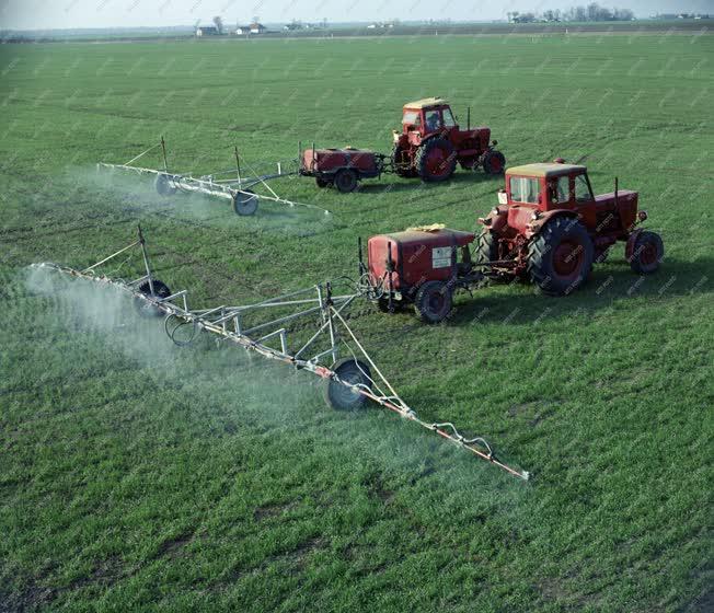Mezőgazdaság  - Traktoros gyomirtás