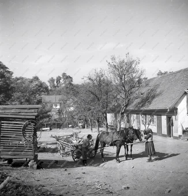 Életkép - Mezőgazdaság - Gazda szekerével