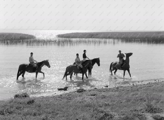 Idegenforgalom - Turisták a Balatonon