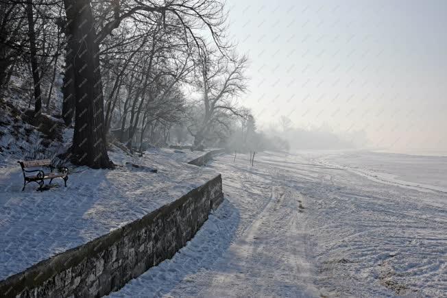 Természet - Zebegény - Téli Duna-part