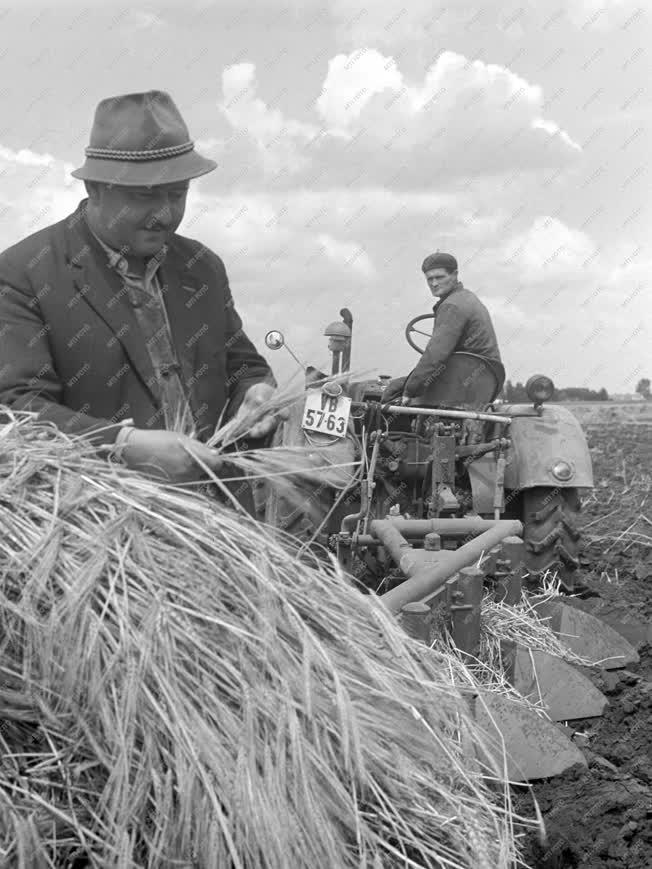 Mezőgazdaság - Mezőgazdasági munka - Betakarítás