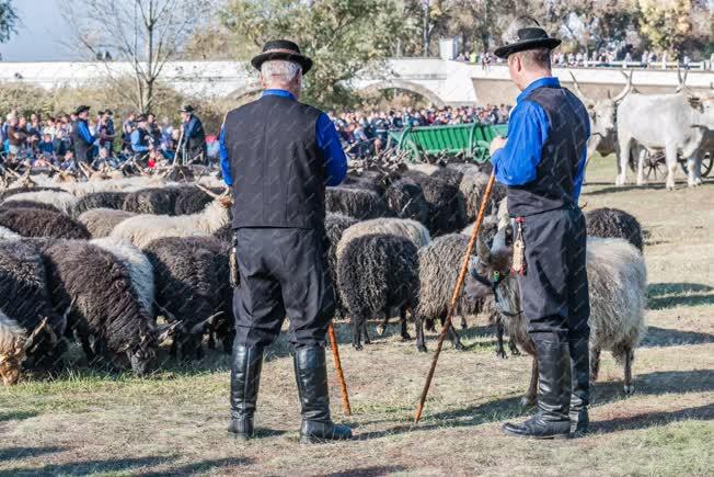 Turizmus - Hortobágy - Hagyományőrző pásztorok