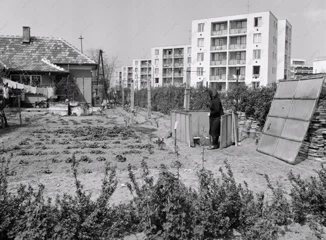 Gazdaság - Várostervezés - Folyamatos lakásátadás Pesterzsébeten