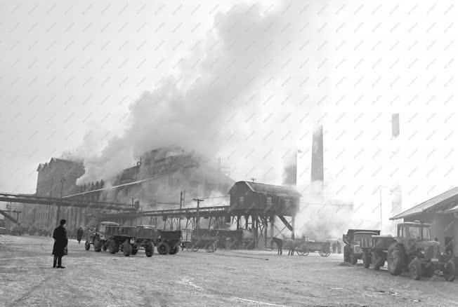 Ipar - Üzembe helyezték a Szerencsi Cukorgyár hőerőművét
