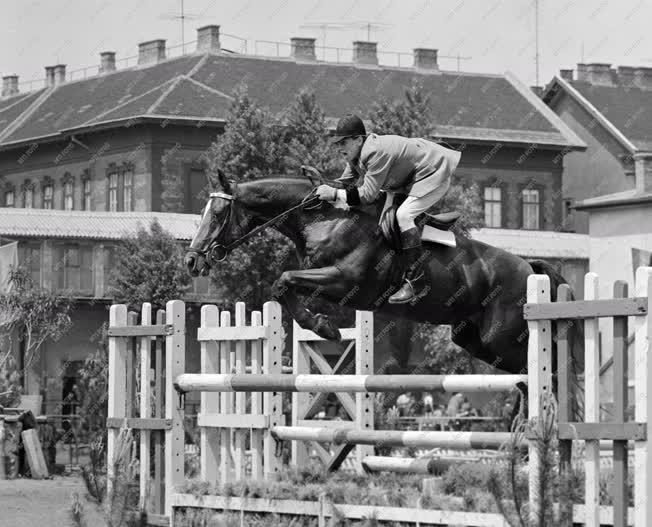 Sport - Lósport - 1967. évi lovasbajnokság
