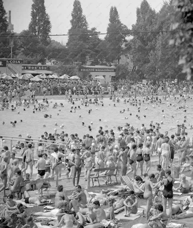 Szabadidő - Margitszigeti Palatinus Strand