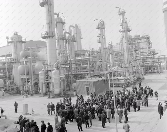 Ipar - Energia - Felavatják a Tiszai Vegyikombinát Olefingyárát
