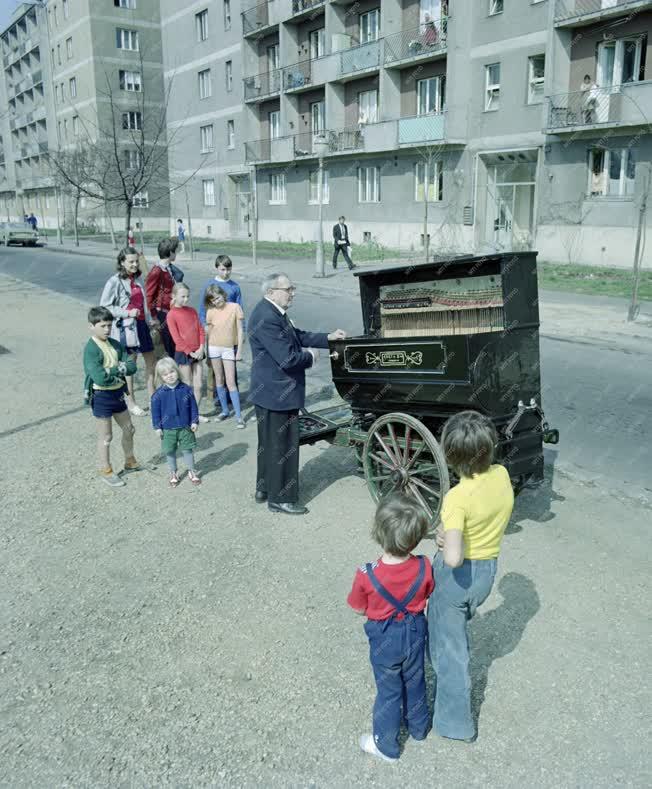 Városkép - Verklis a lakótelep parkjában