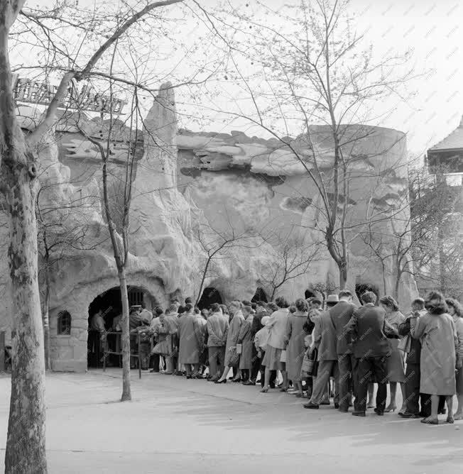 Szórakozás - Budapesti Vidám Park 