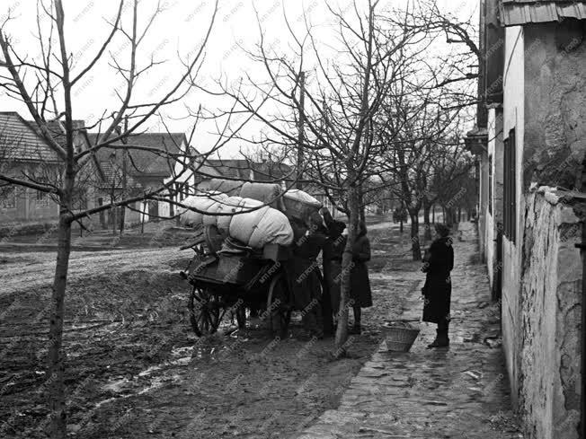 Történelem - Életkép - Svábok kitelepítése