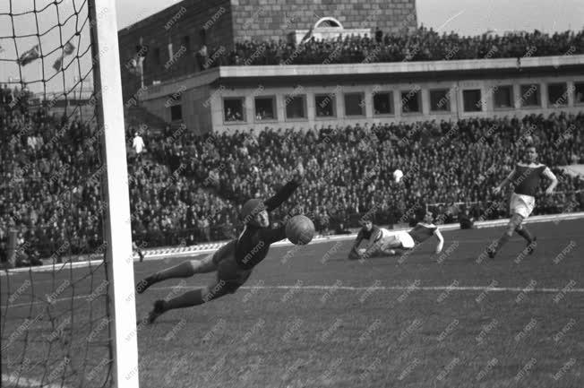 Sport - Labdarúgás - Bp. Honvéd-Austria Wien