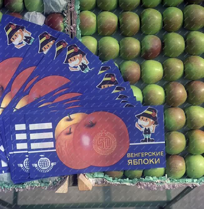 Mezőgazdaság - Export alma a Zalaszentgróti Állami Gazdaságból
