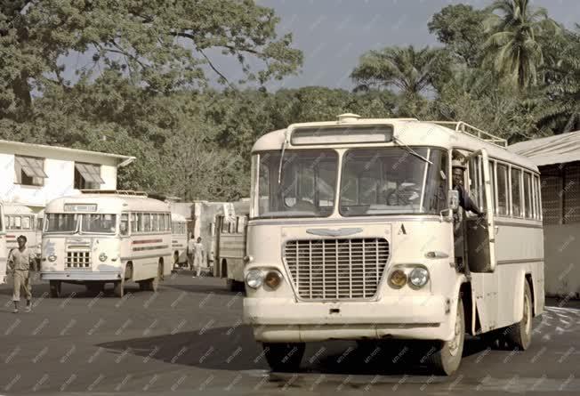 Guinea - Közlekedés - Ikarus busz