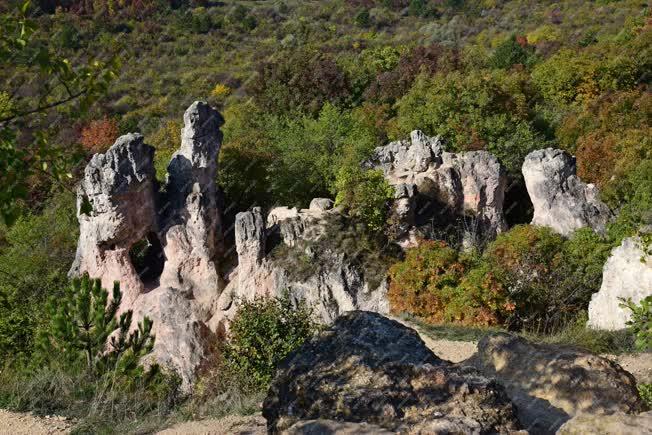 Tájkép - Természet - Teve-szikla Pilisborosjenőnél