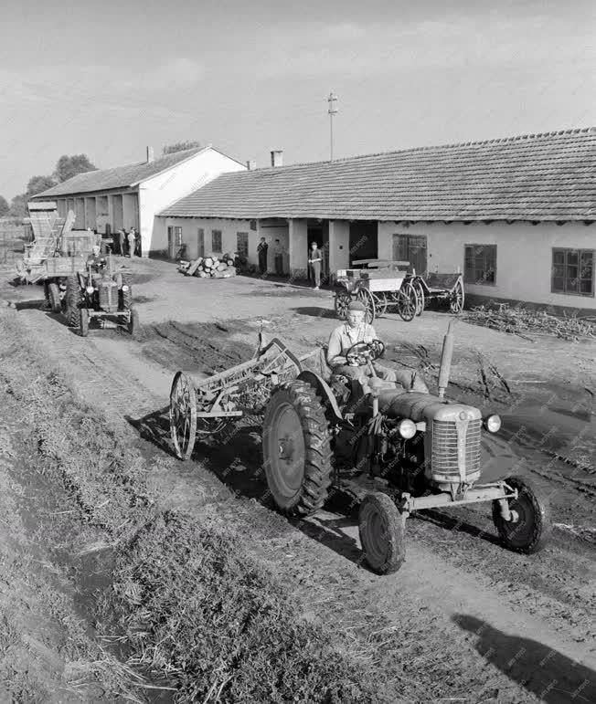 Mezőgazdaság - Traktorok indulnak a földekre