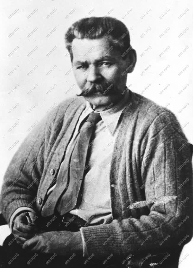 Makszim Gorkij író