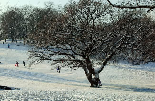 Természet - Táj - Havas tél a Tabánban
