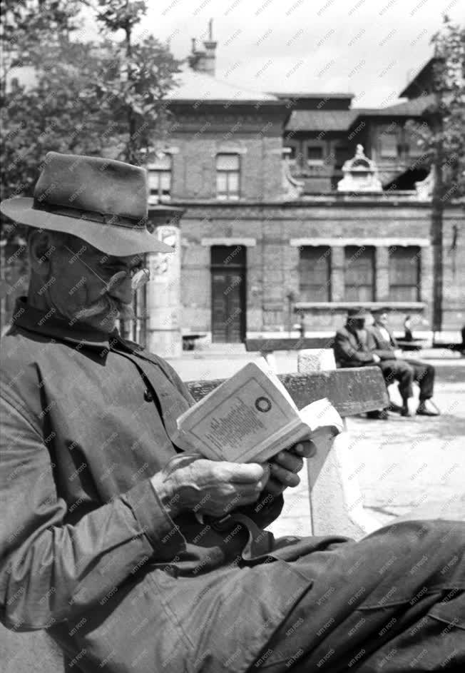 Szabadidő - Olvasó férfi a Rákóczi téren