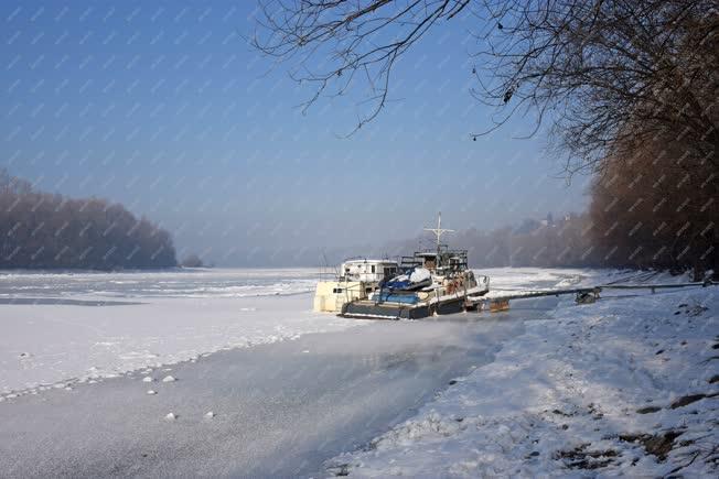 Természet - Zebegény - Téli Duna-part