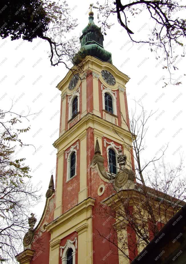Egyházi épület - A Beográda székesegyház Szentendrén