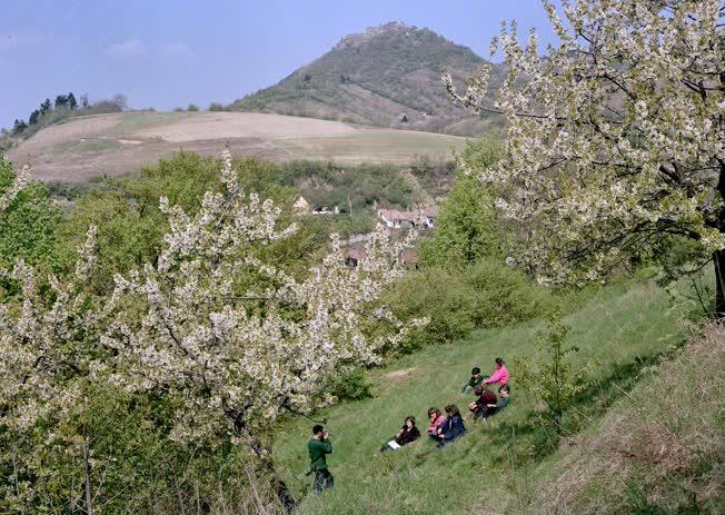 Időjárás - Tavasz a Dunakanyarban