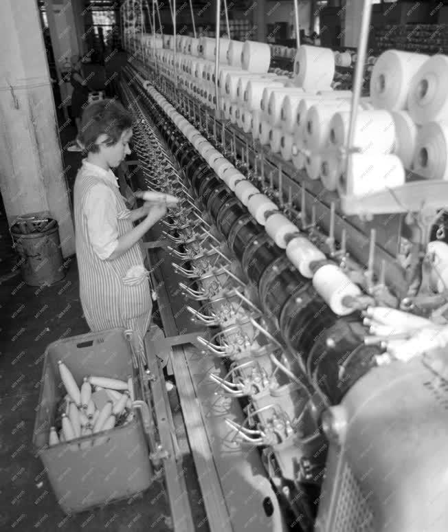 Ipar - Rekonstrukció a Pápai Textilgyárban