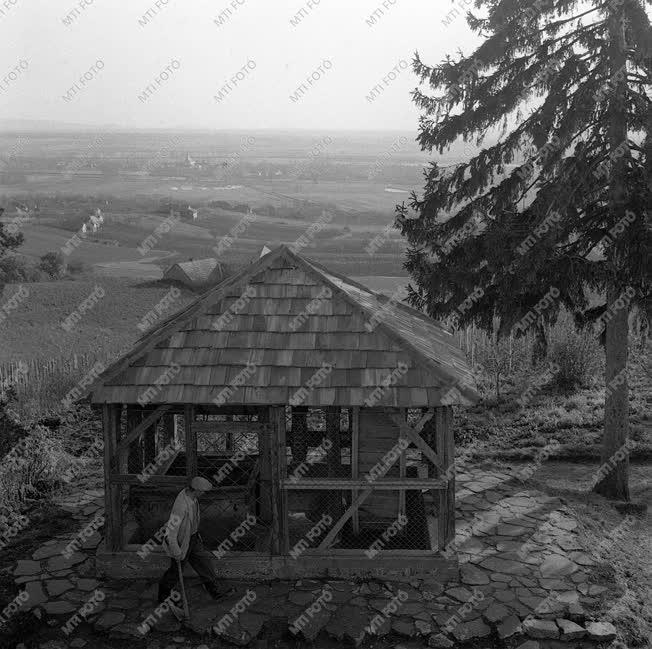 A szerző válogatása - Taposó kút a Somlyó-hegyen