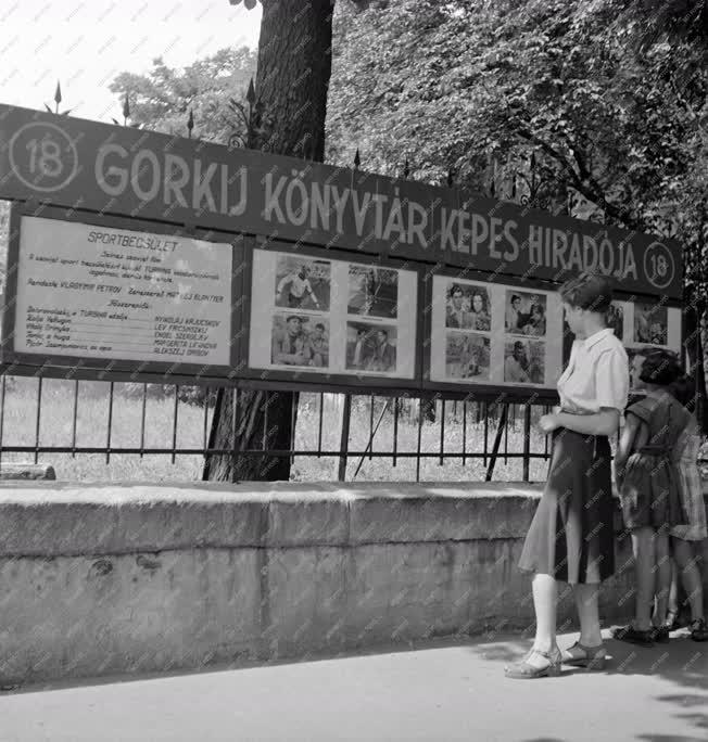 Kultúra - Kulturális kapcsolat - 5 éves a Gorkij Könyvtár