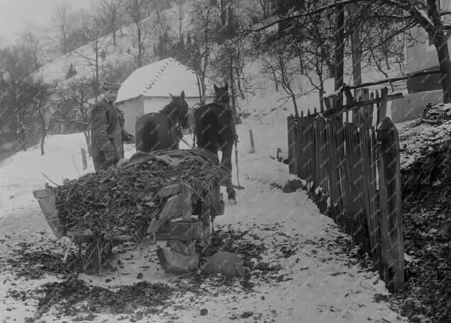 Természet-környezet - Vágáshutai életkép