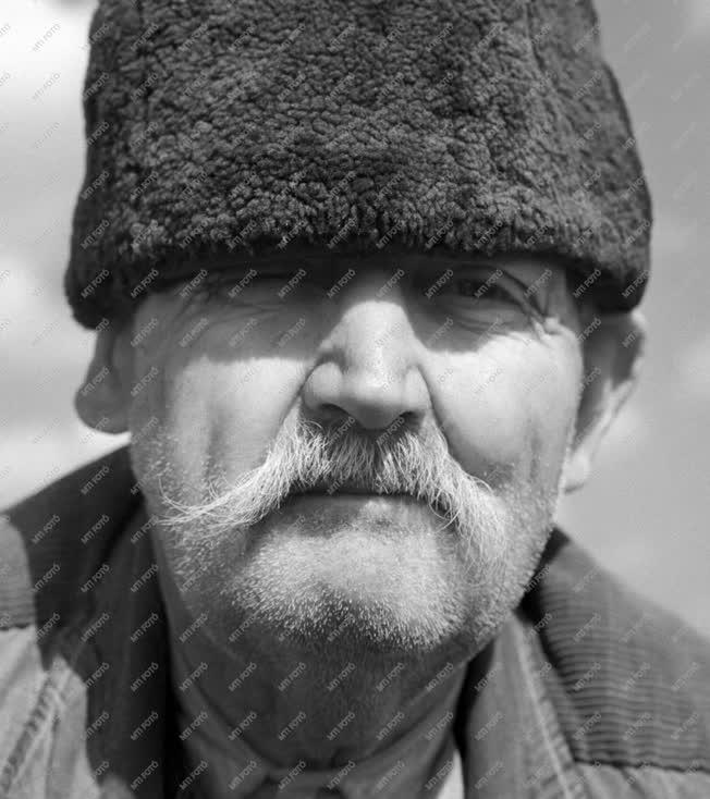 Portré - Somogyi Ferenc, a Kossuth Termelőszövetkezet dolgozója
