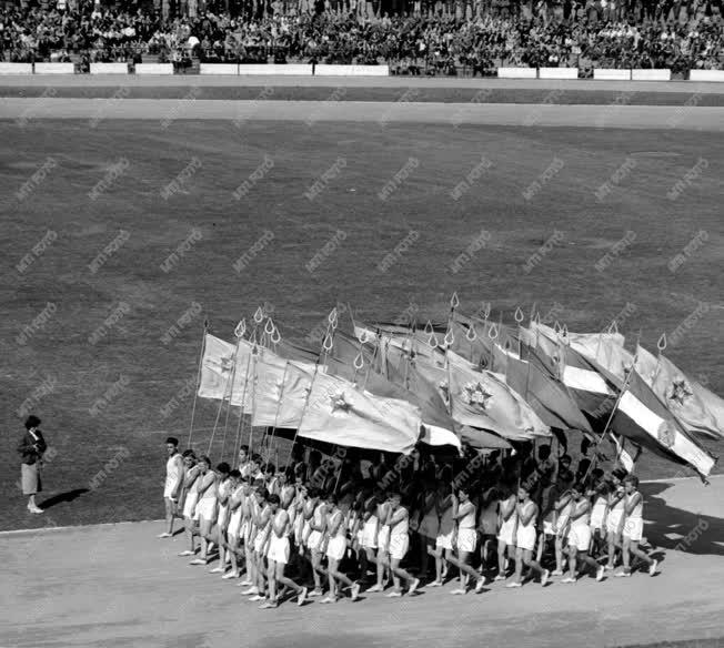 Sport - Sportbemutató a népligeti Vasas pályán