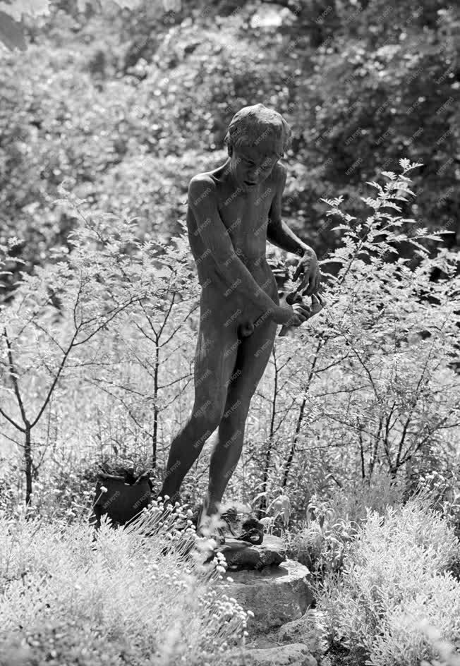 Kultúra - Rákász fiú szobra a Margitszigeten