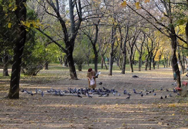 Városkép - Budapest - Vérmező