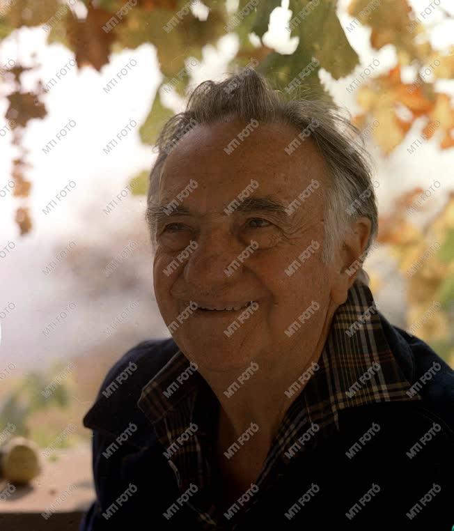 Tatay Sándor Kossuth-díjas író