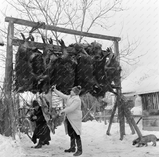 Mezőgazdaság - Vadgazdálkodás Gemencen