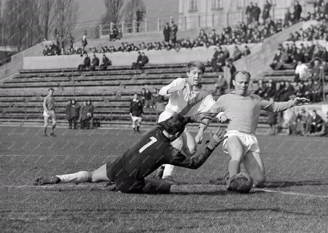 Labdarúgás - MTK-Slovan Bratislava labdarúgó-mérkőzés