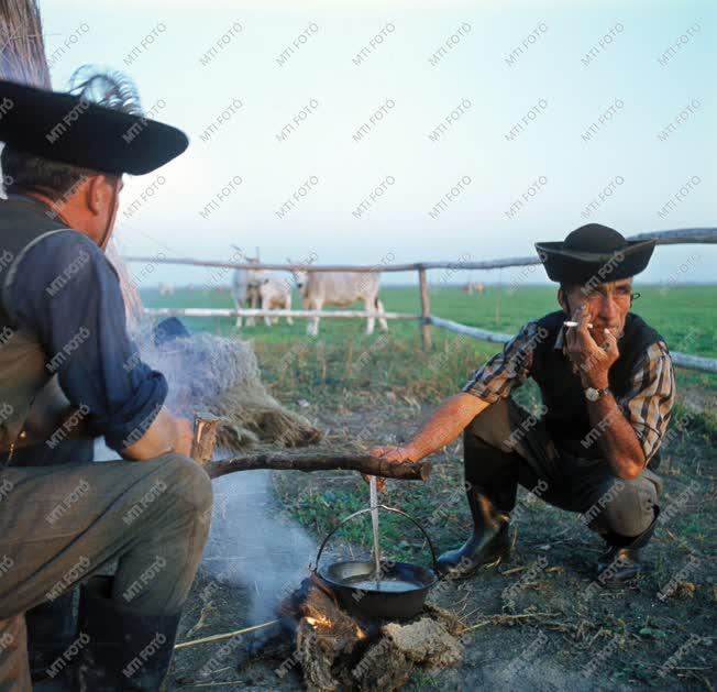 A szerző válogatása - Hortobágy