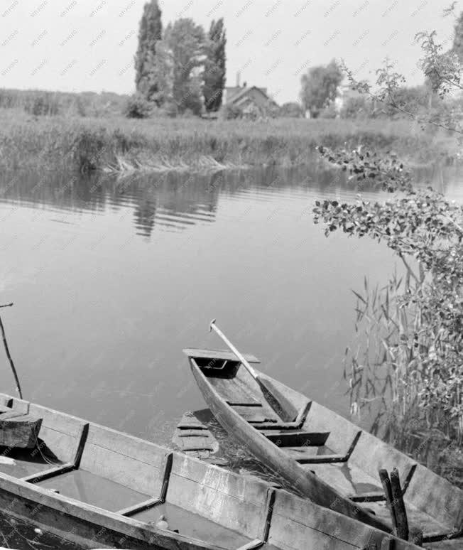 Halászat - Ladikok a Ferenc-csatornán