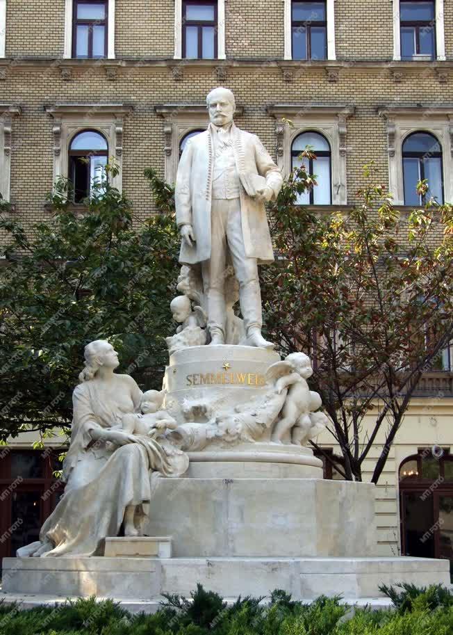 Köztéri szobor - Budapest - Semmelweis Ignác szobra a Gyulai Pál utcában